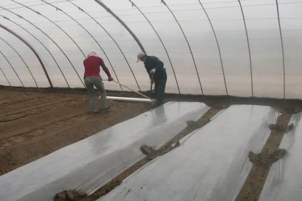 制作生物菌肥的配方,原料包括秸秆、玉米淀粉等