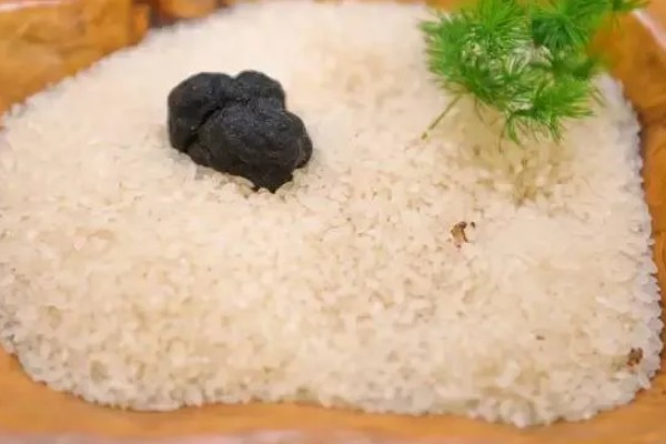 松露的保存时间，新鲜松露能保存3天左右