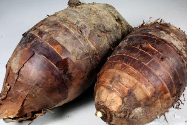 荔浦芋的产地，广西荔浦县为主产区