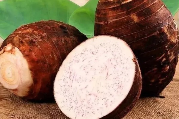 荔浦芋的产地，广西荔浦县为主产区