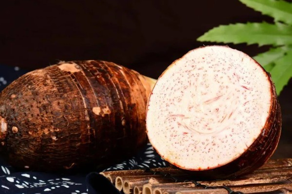 荔浦芋的产地，广西荔浦县为主产区