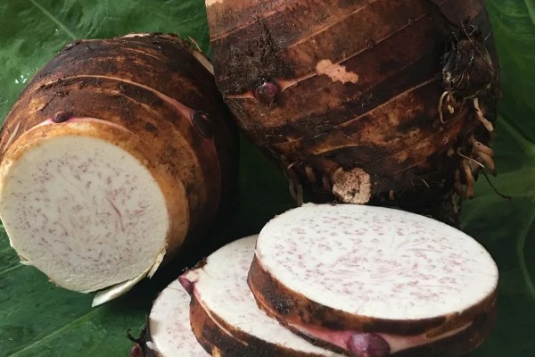 荔浦芋的产地，广西荔浦县为主产区