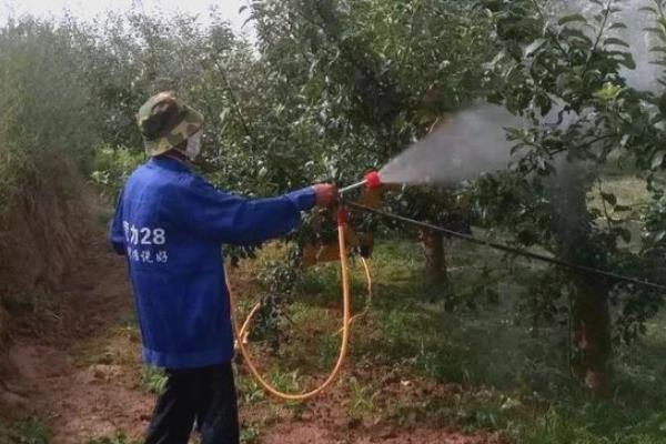 嘧菌酯的用量，取决于使用和防治对象