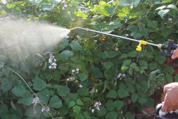 嘧菌酯的用量，取决于使用和防治对象