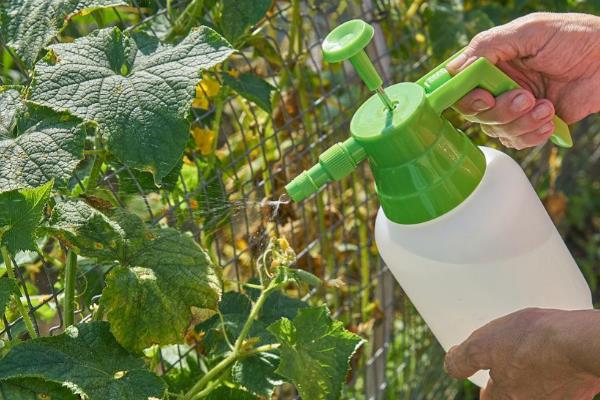 嘧菌酯的用量，取决于使用和防治对象