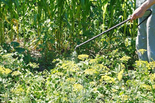嘧菌酯的用量，取决于使用和防治对象
