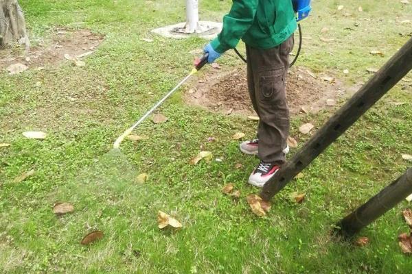 嘧菌酯的用量，取决于使用和防治对象