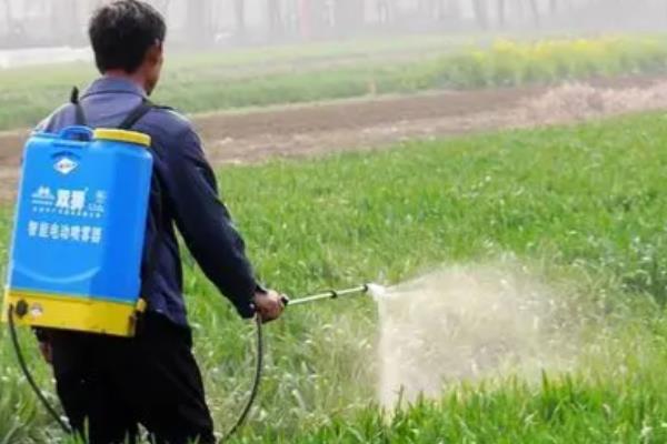 嘧菌酯的用量，取决于使用和防治对象