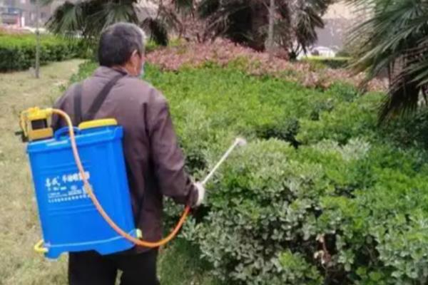 嘧菌酯的用量，取决于使用和防治对象