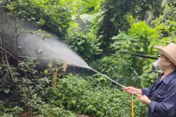 嘧菌酯的用量，取决于使用和防治对象