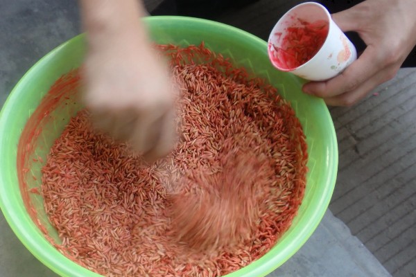 甲霜恶霉灵可以防治哪些病害，对水稻菌核病、花生根腐病等病害有防效