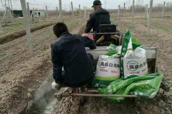 甲霜恶霉灵可以防治哪些病害，对水稻菌核病、花生根腐病等病害有防效