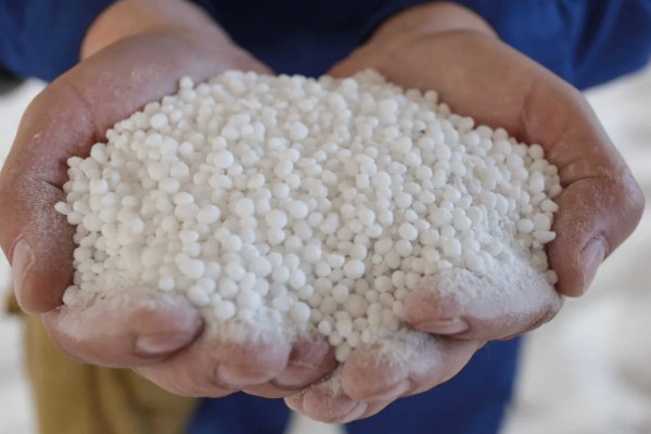 硝态氮肥的肥效时间，通常为5-7天左右