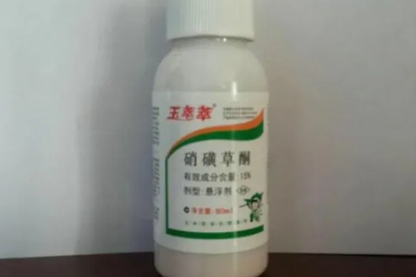 玉米田麦苗除草多久可以见效,一般为3-7天左右