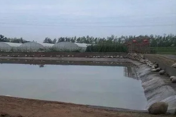 水泥池的养鱼技术，建好水泥池后要去碱