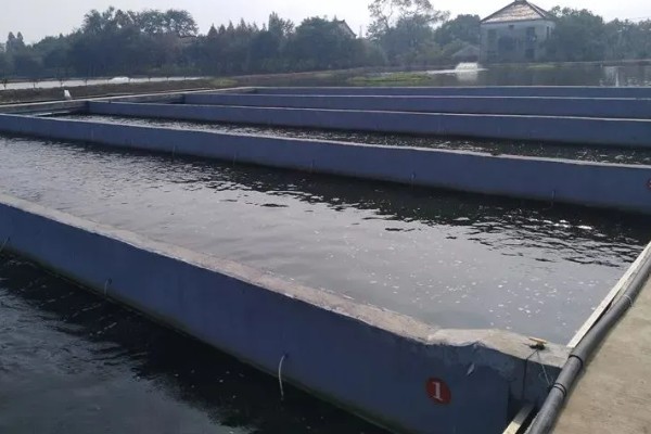 水泥池的养鱼技术，建好水泥池后要去碱