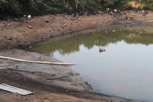 水泥池的养鱼技术，建好水泥池后要去碱