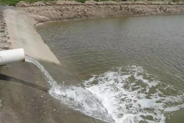 水泥池的养鱼技术，建好水泥池后要去碱