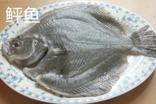 人工饲养的海水鱼种类,有大黄鱼、海鲈鱼等