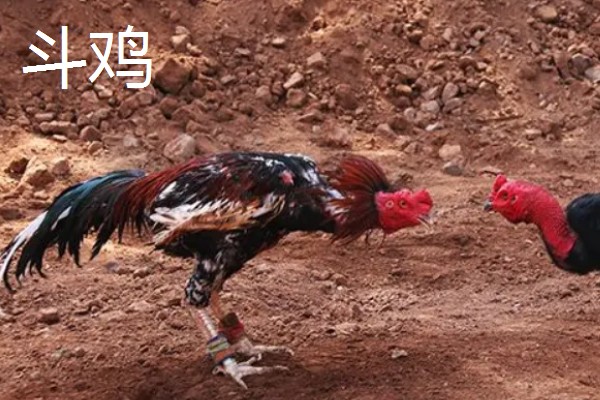 吐鲁番市的特产,吐鲁番葡萄闻名全国