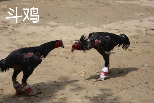 吐鲁番市的特产,吐鲁番葡萄闻名全国