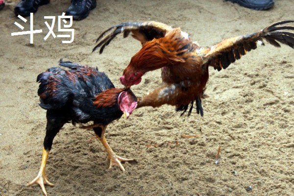 吐鲁番市的特产,吐鲁番葡萄闻名全国