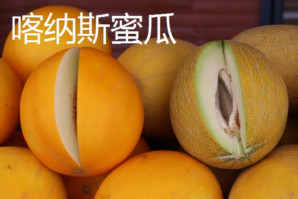 吐鲁番市的特产,吐鲁番葡萄闻名全国