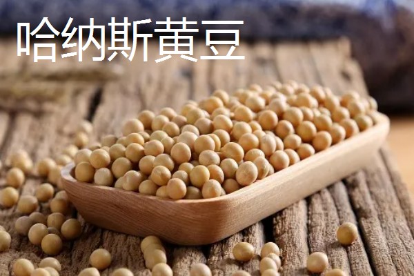 吐鲁番市的特产,吐鲁番葡萄闻名全国