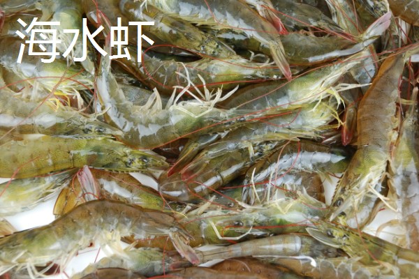 淡水虾与海水虾的区别,生存环境和外观均不同