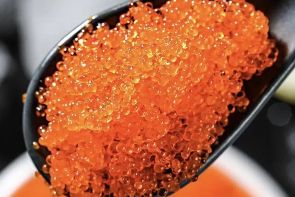 飞鱼籽是哪种鱼的籽，是水生动物飞鱼的卵