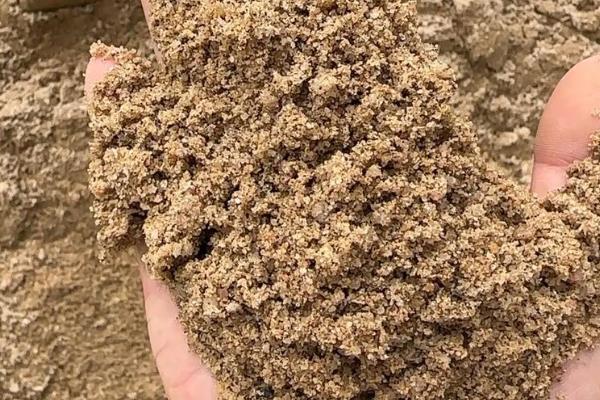 变色牡丹的养殖方法，在生长季节要浇足水分