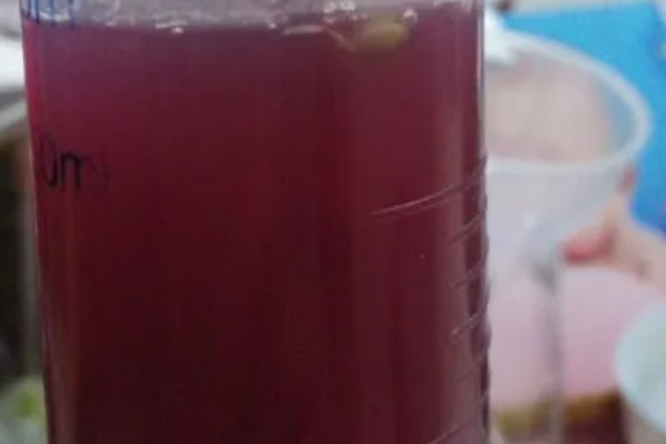 母猪配种成功的表现，不再发情且腹部逐渐增大便代表受孕