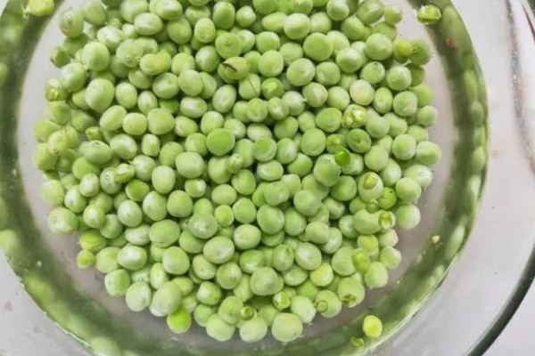 豆妃简介,是豌豆苗顶端两片嫩叶