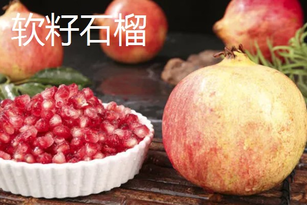 石榴的种类，常见的有安石榴、白石榴等