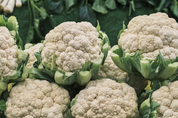 花菜的简介，属于二年生植物