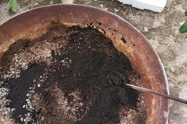 树桩的年轮有疏有密吗，是有疏有密的