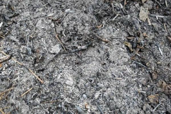 红薯如何施肥可高产，需重施裂缝肥