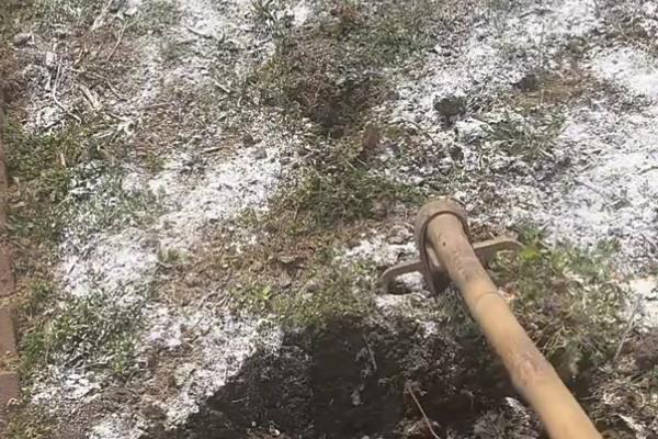 红薯如何施肥可高产，需重施裂缝肥