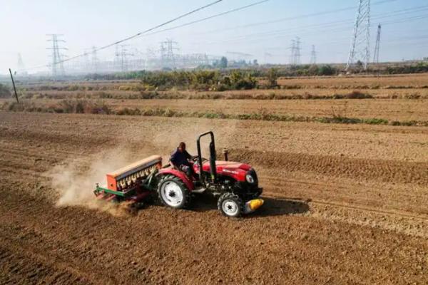 红薯如何施肥可高产，需重施裂缝肥