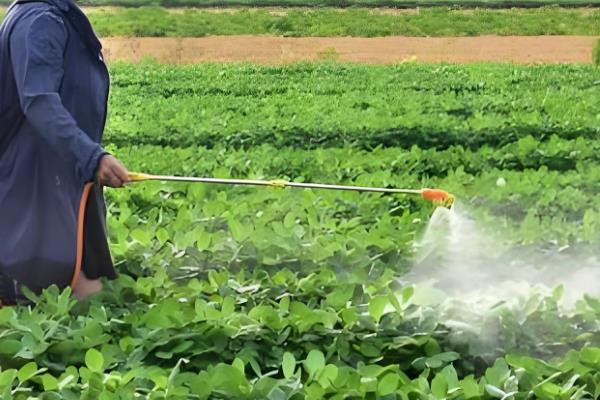 嘧菌酯、醚菌酯、吡唑醚菌酯的区别,防治对象不同