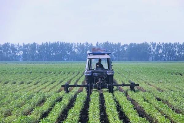 嘧菌酯、醚菌酯、吡唑醚菌酯的区别,防治对象不同
