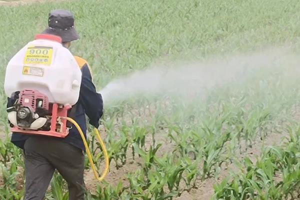嘧菌酯、醚菌酯、吡唑醚菌酯的区别,防治对象不同