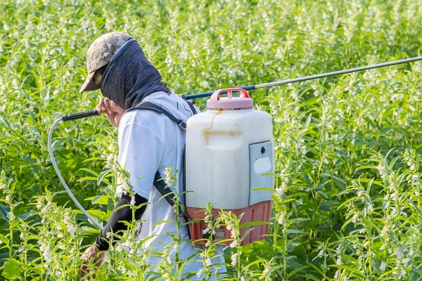 嘧菌酯、醚菌酯、吡唑醚菌酯的区别,防治对象不同