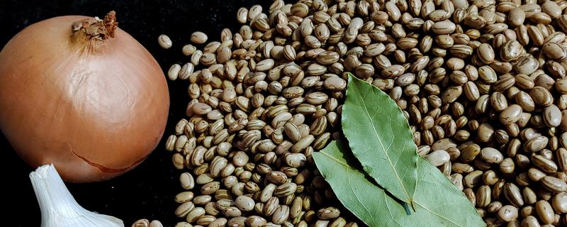 种皮和果皮的区别，来源、结构、位置都不同