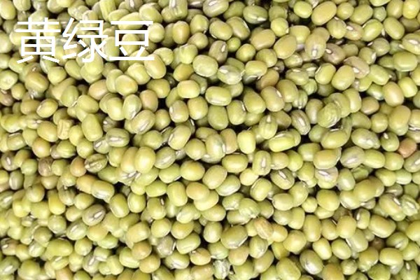 种皮和果皮的区别，来源、结构、位置都不同