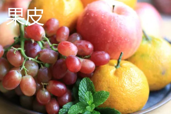 种皮和果皮的区别，来源、结构、位置都不同