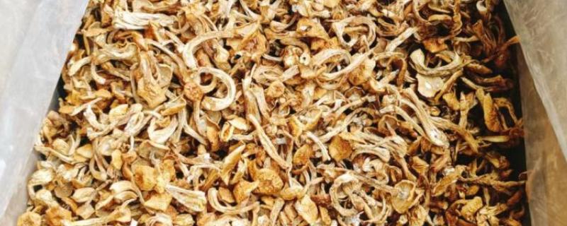 河北省平泉市的特产，平泉滑子菇远销海外