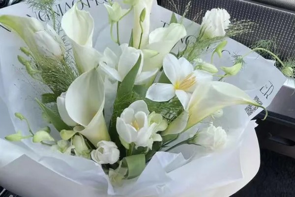 看望病人赠送哪些花卉，可选择郁金香、马蹄莲等品种