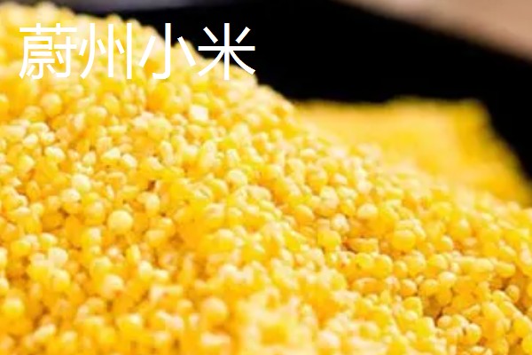 河北省平泉市的特产，平泉滑子菇远销海外