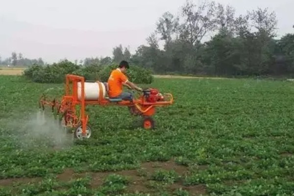 温室烟粉虱病虫害如何防治，可以在放风口安装防虫网